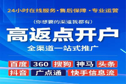 某企业通过SEM实现品牌与销售双增长的案例